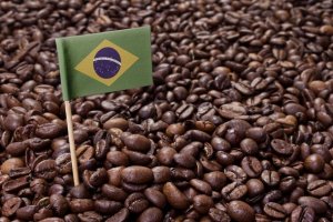 História do Brasil: O Império e o Café
